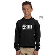 The Flash STAR Laboratories YOUTH sweatshirt